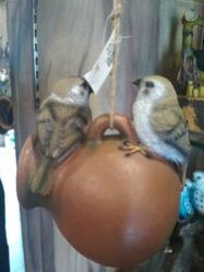 Bird Craft