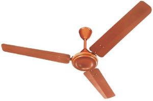 Ceiling Fans