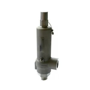 Cryogenic Safety Relief Valve