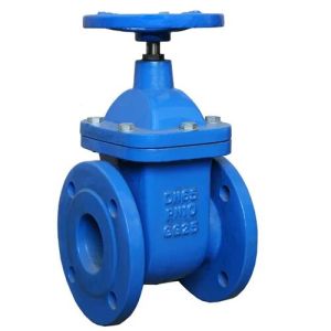 Cast Iron Valve