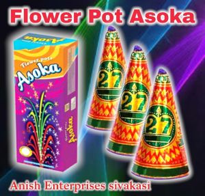 Flower Pot Ashoka