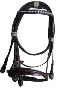 Horse Black Bridle