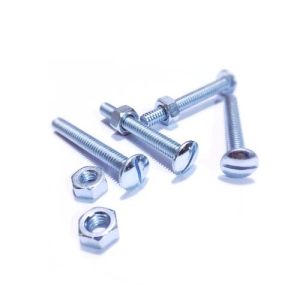 Stainless Steel Roofing Bolt