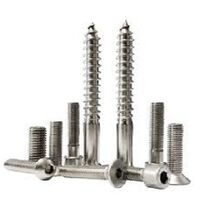 hex socket head bolt