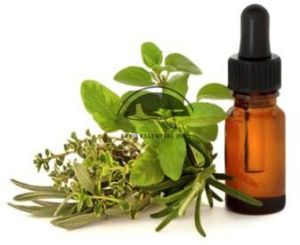 Marjoram Oil