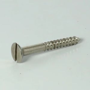 slotted screw