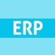 ERP Data Management Service