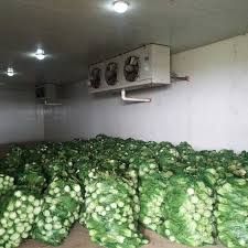 Vegetable Cold Storage Room