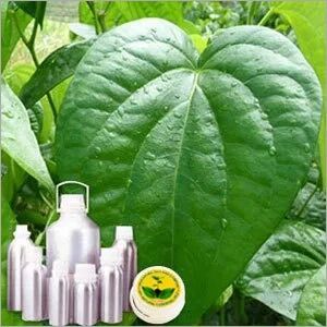 Betel Leaf Oil