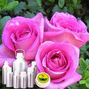 Rose Attar