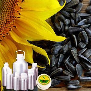 Sunflower Carrier Oil