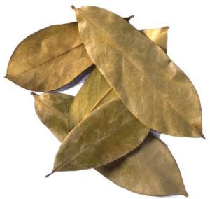 Soursop Dry Leaves