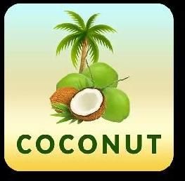 Mature Coconut