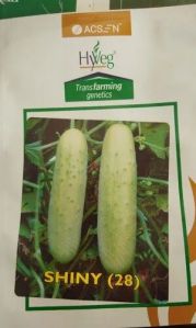 Cucumber Seeds