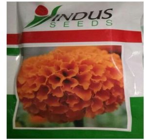 marigold seed