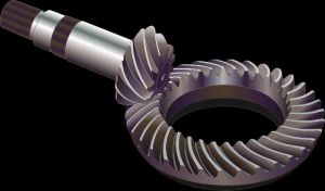 Bevel Gear