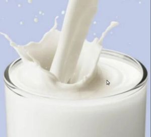 Pure Organic Healthy Milk