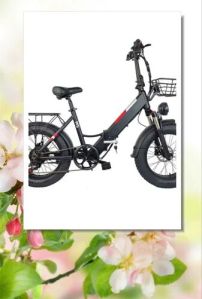 Electric Folding Bicycle