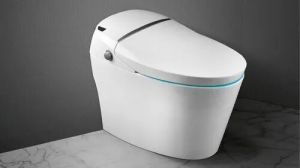 Parryware Electronic Toilet Seat