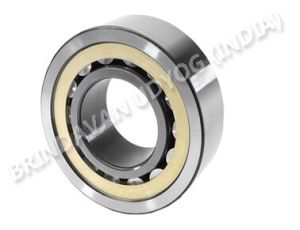 Cylindrical Roller Bearing