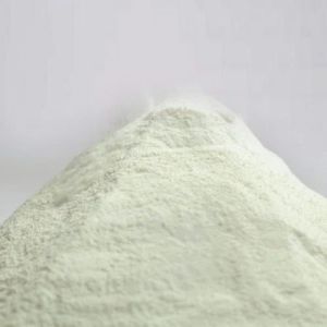 Rennet Casein Powder