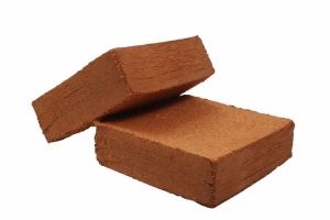 Coco Peat Briquette