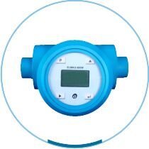 Electronic Water Meter
