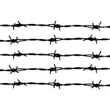 Barbed Wires