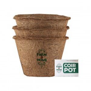 Coir Pots