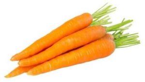 Fresh Orange Carrot