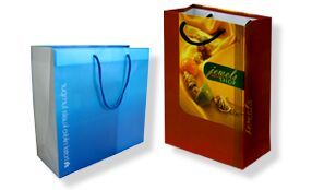 Multi Colour Offset Printed Paper Bags