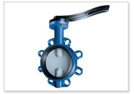 Butterfly Valves