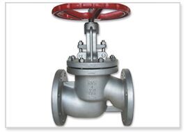 Globe Valve