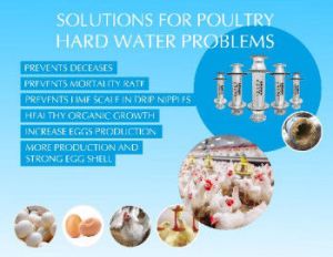 water conditioner for Poultry