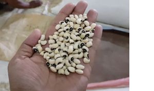 Organic Black Eye Beans