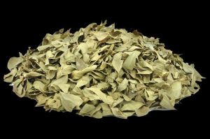Dry Henna Leaves