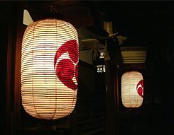 Colourful hanging Rice Lamps