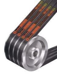 Indus V Belts