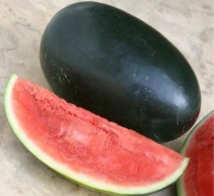 Hybrid Watermelon