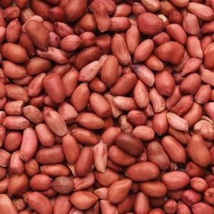 Natural Groundnut Kernels