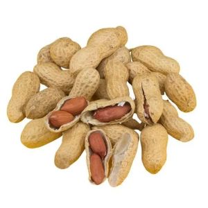 Organic Whole Groundnut