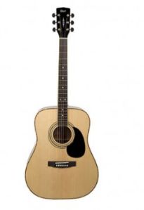 acoustic guitars