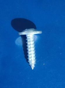 Self Tapping Screw