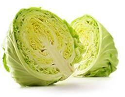 Cabbages