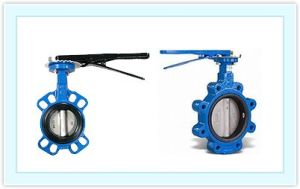 Butterfly Valve