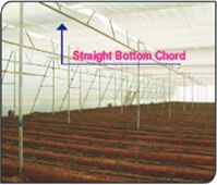 Greenhouse Bottom Chords