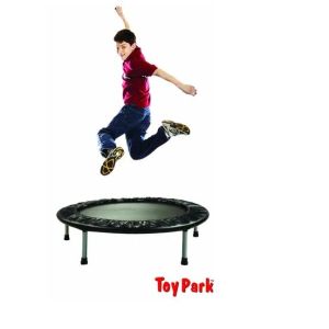 Mini Trampoline