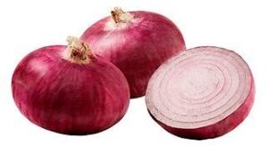 Onion