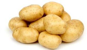 Potato