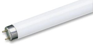fluorescent tube